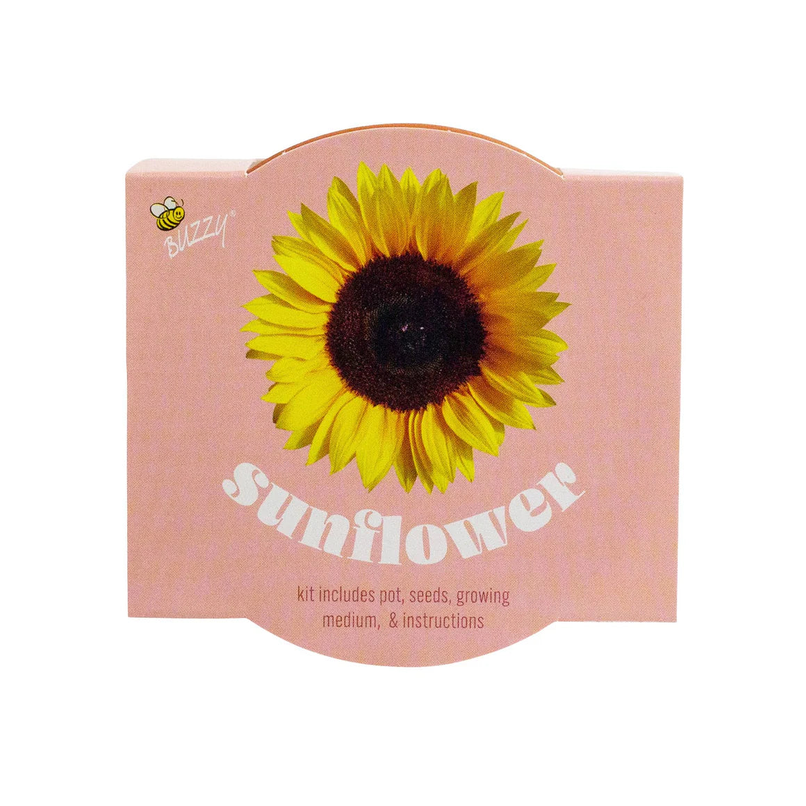 Classic Sunflower Terra Cotta