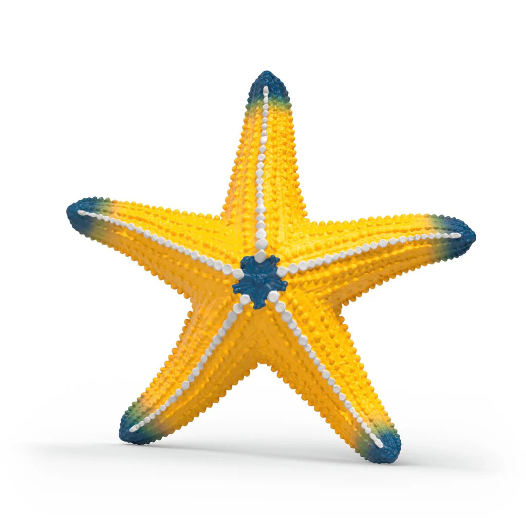 Starfish (Changes Color With Temp)