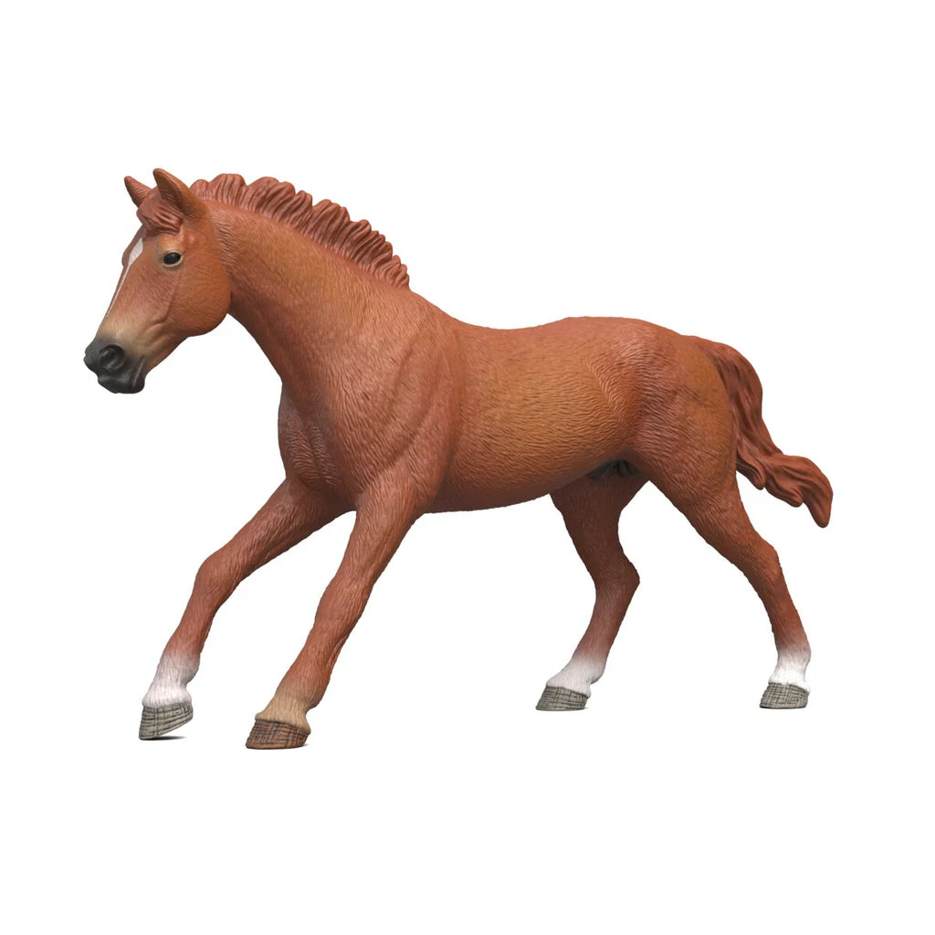 English Thoroughbred Stallion