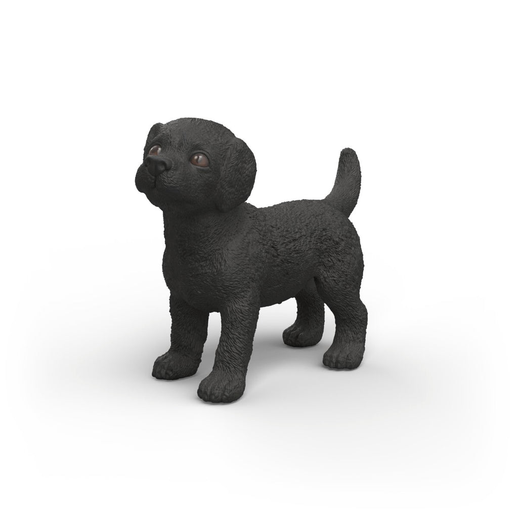 Black Labrador Retriever Puppy