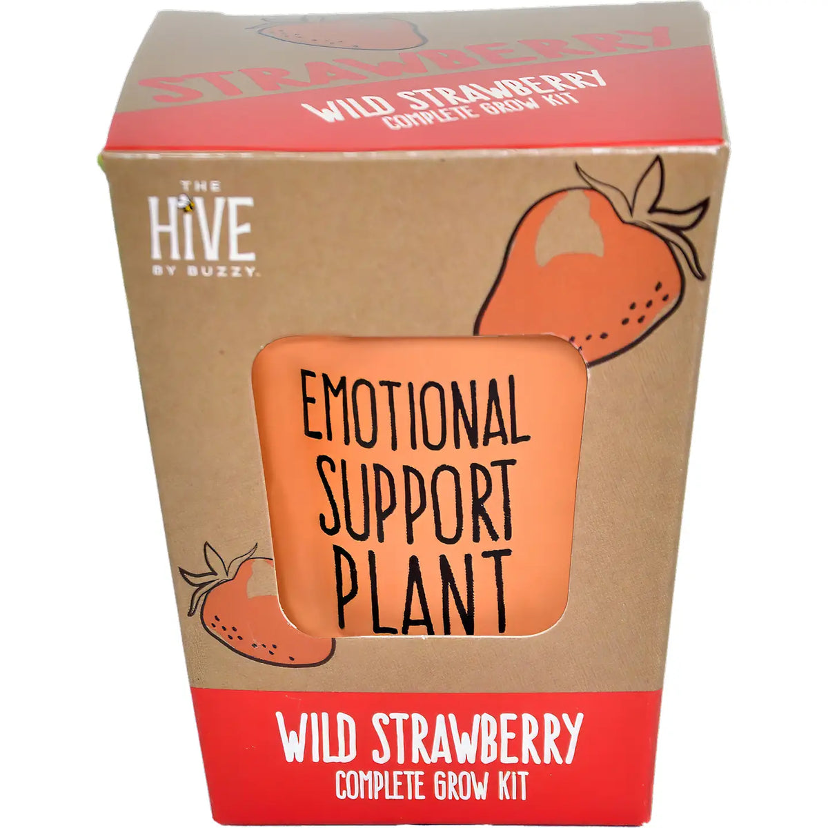 Wild Strawberry Inspirational Grow Kit – Fun Stuff Toys