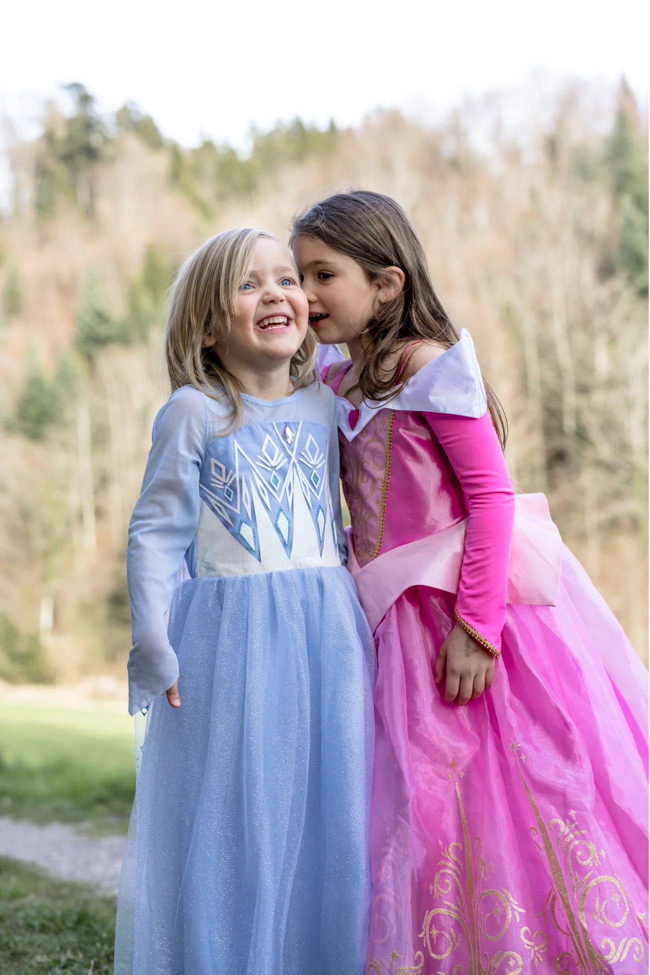 Once Upon A Princess Winter Dress 5/6