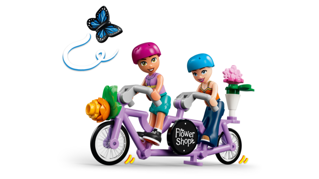 LEGO® Friends Fun Water Park Day