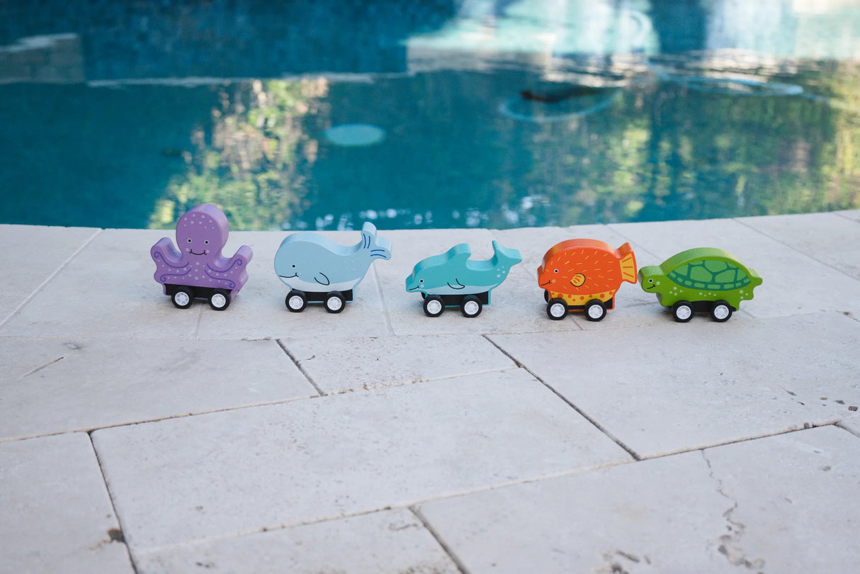 Ocean Creatures Pull Backs (Sold Individually)
