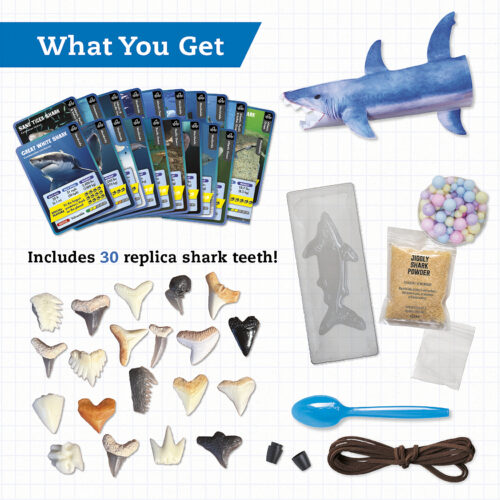 STEAM Lab: Shark-tastic Teeth!