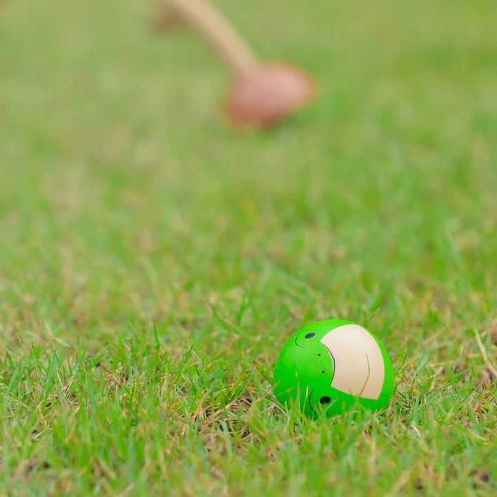 Croquet Set