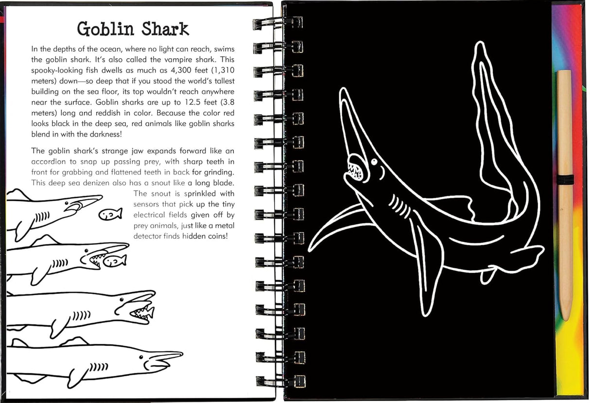 Scratch & Sketch Sharks