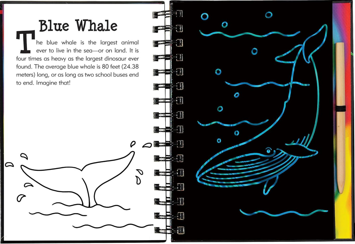 Scratch & Sketch Under The Sea