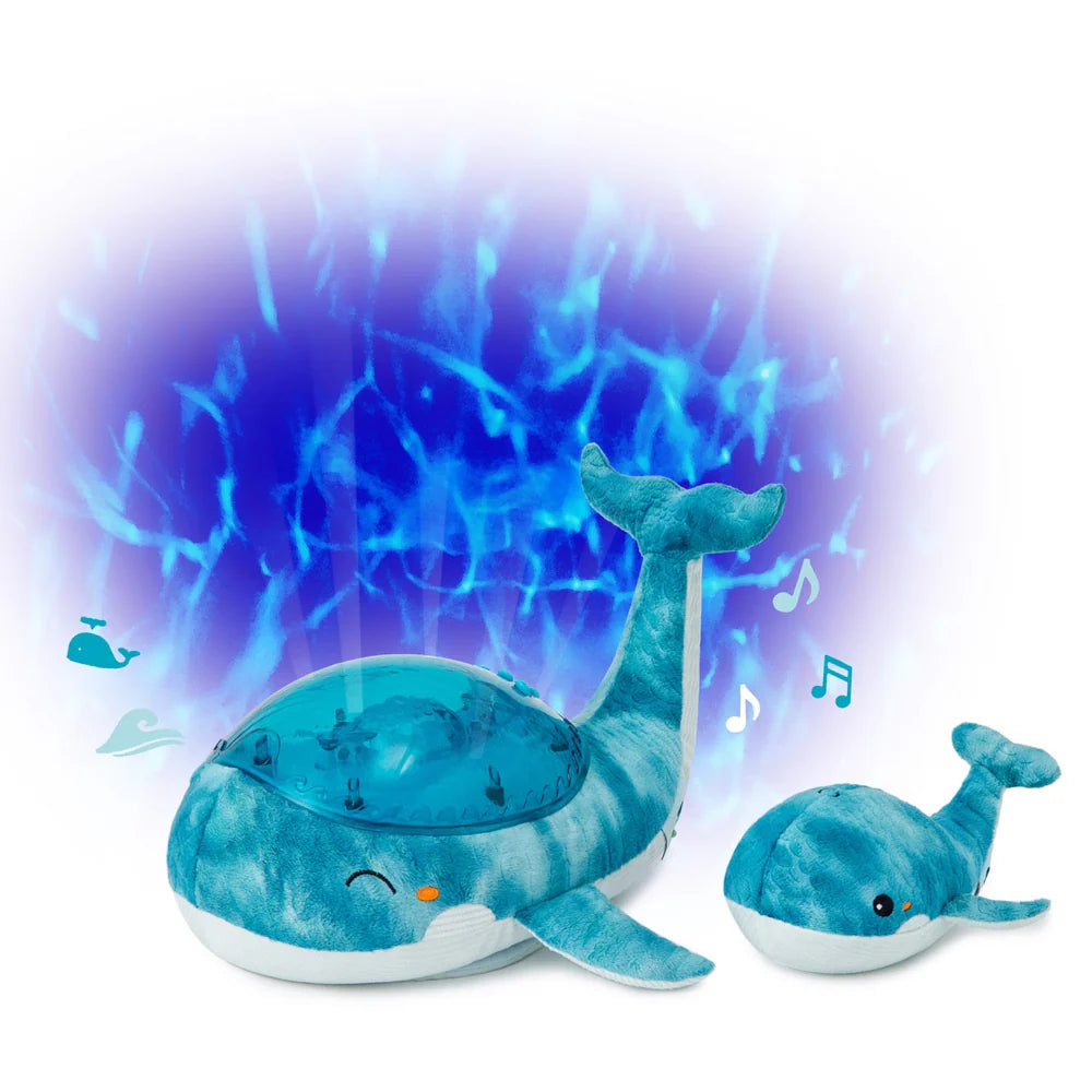 Tranquil Whale™ Family - Blue