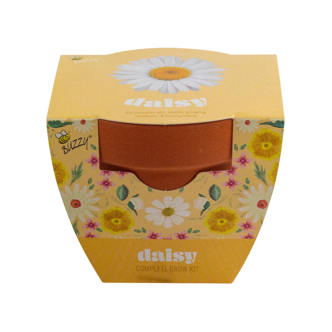 Classic Daisy Terra Cotta