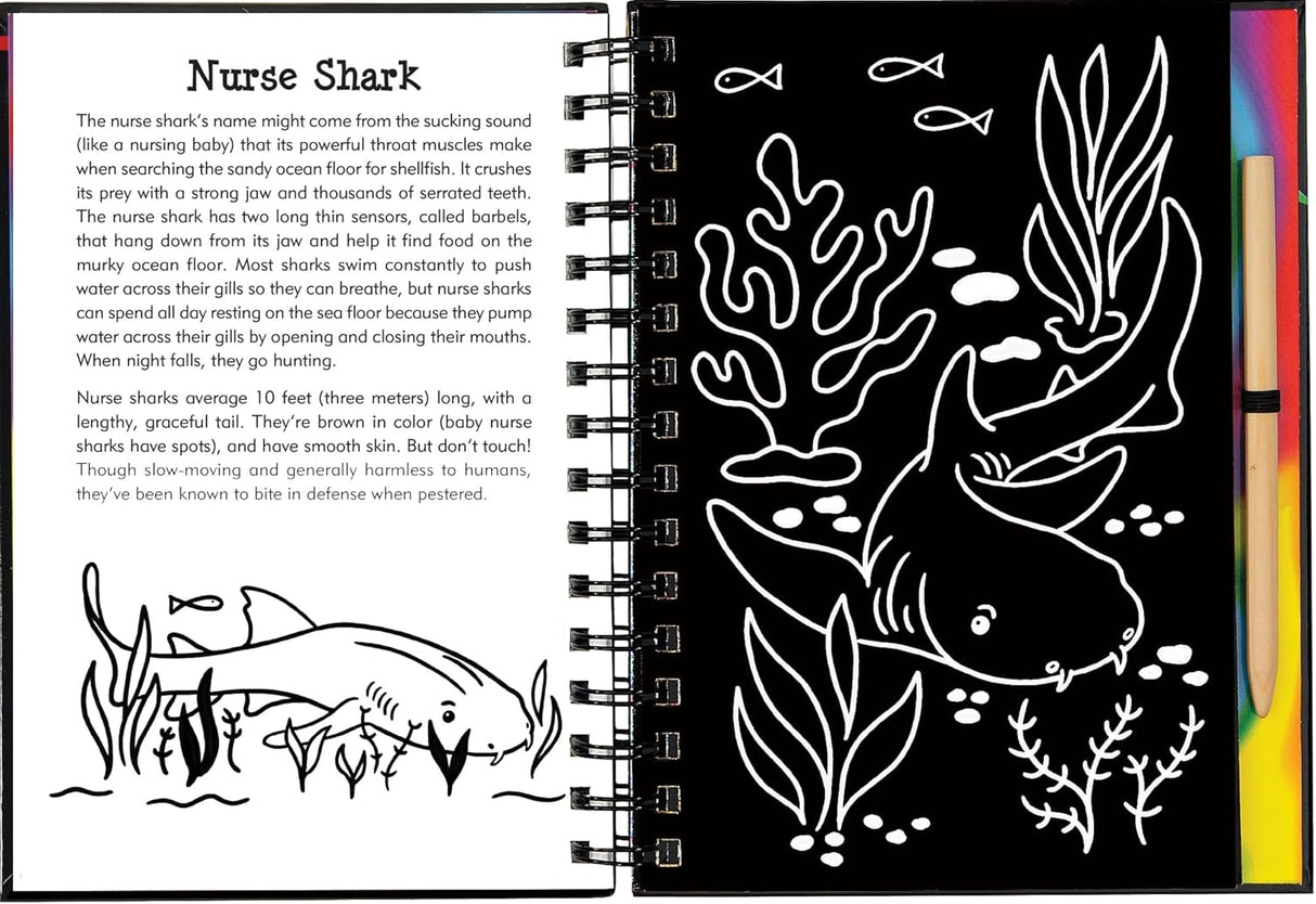 Scratch & Sketch Sharks