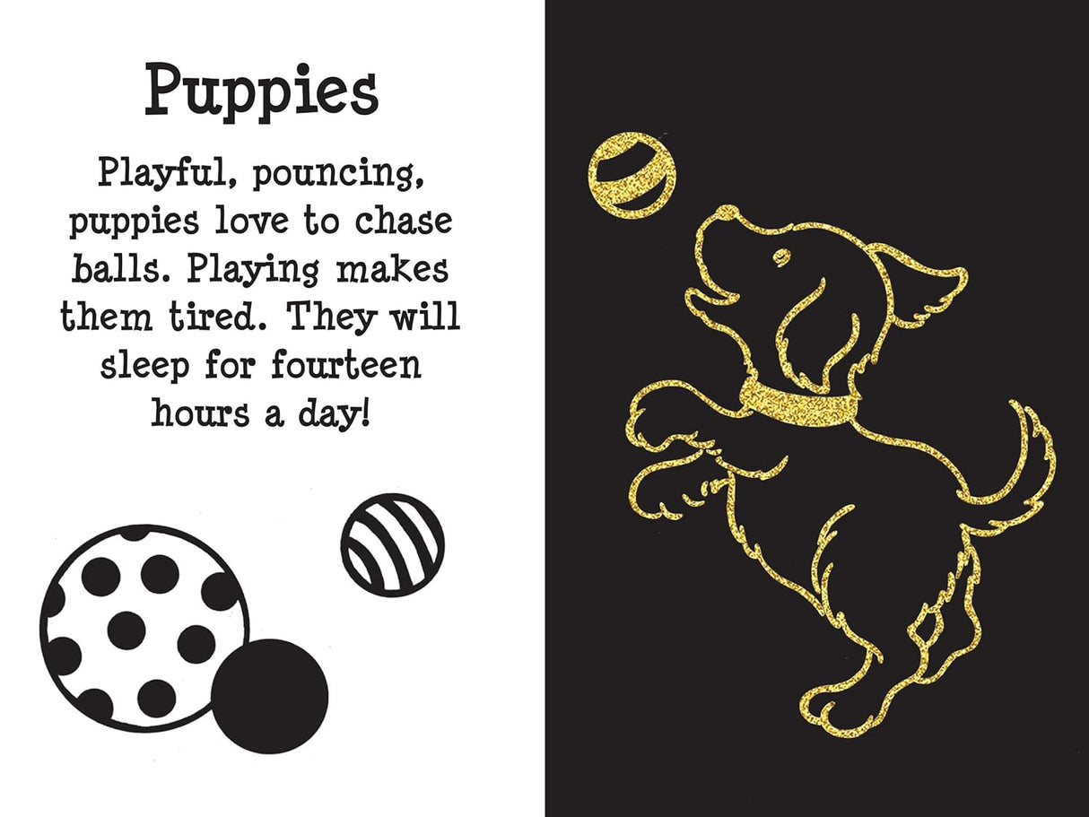 Scratch & Sketch Furry Friends