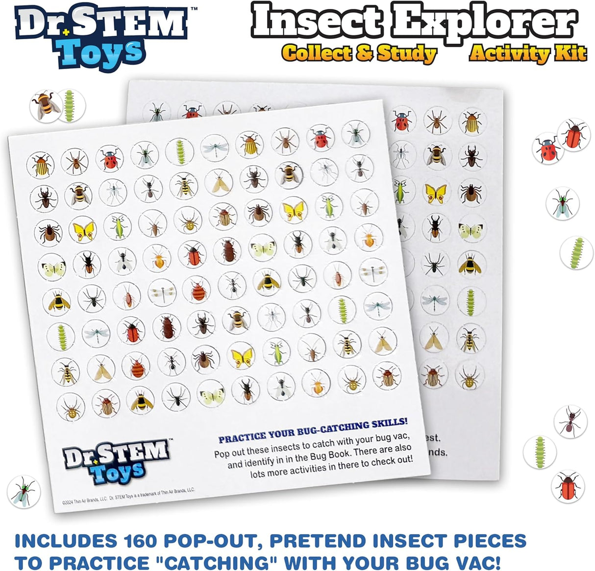 Insect Explorer