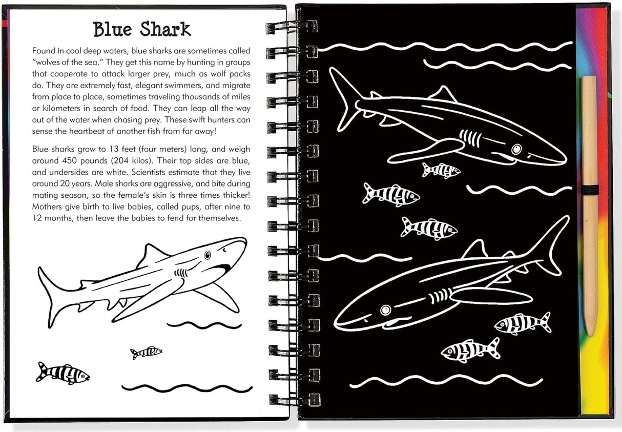 Scratch & Sketch Sharks