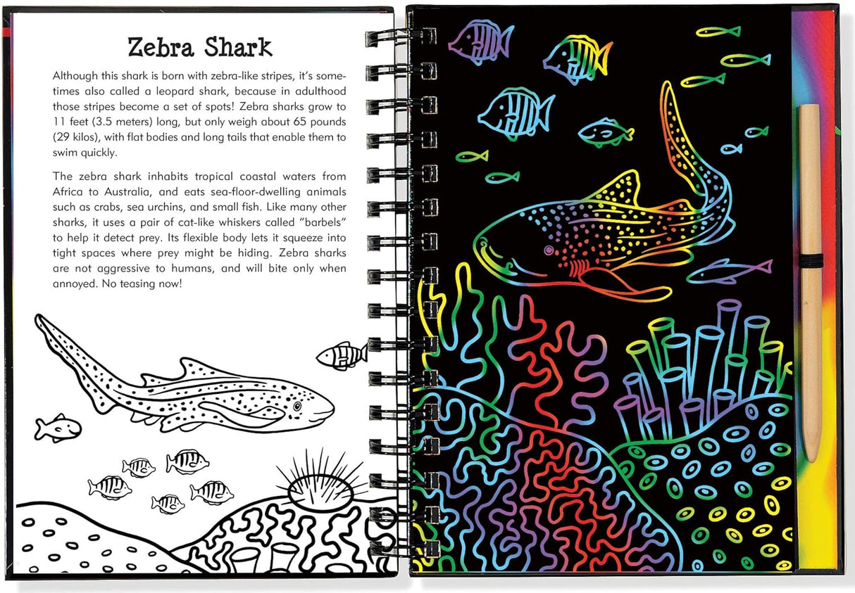 Scratch & Sketch Sharks