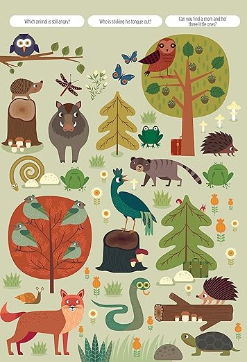 Find Me Adventures In The Forest