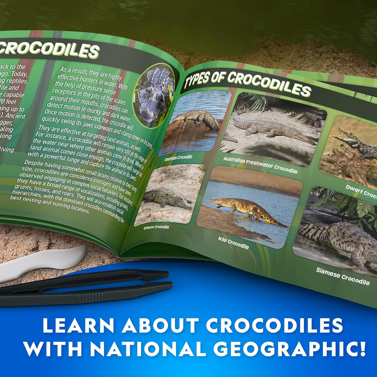 Crocodile Dissection Lab Glow In The Dark