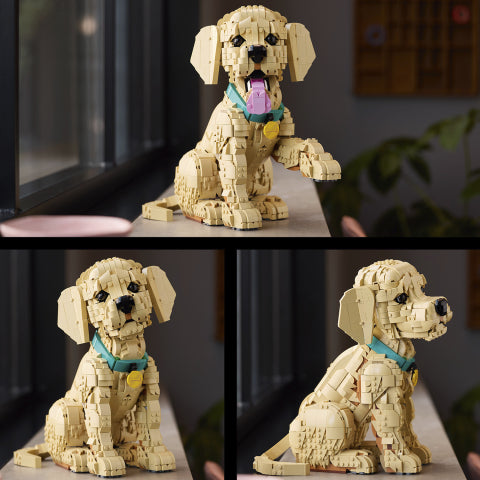 LEGO® Icons Golden Retriever Puppy