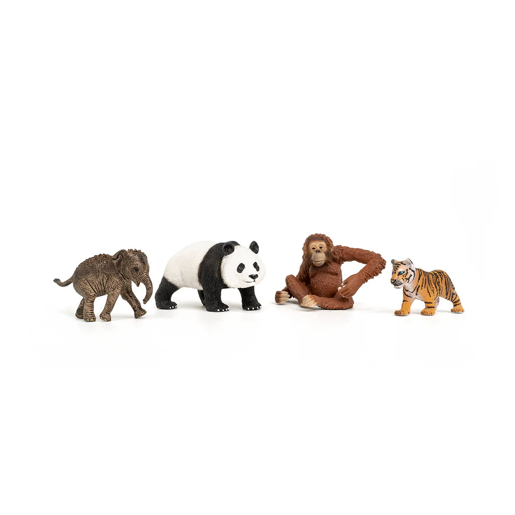 Wild Life Asia Starter Kit