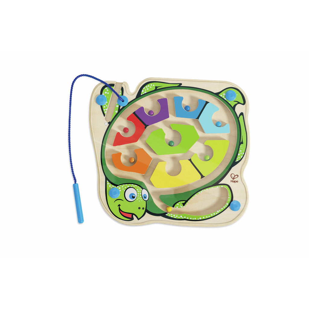 Colorback Sea Turtle