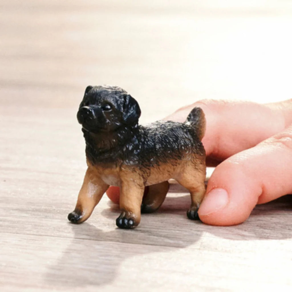 German Shepherd Puppy