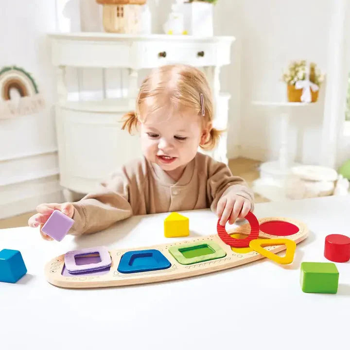 Color And Shape Sorting Puzzle