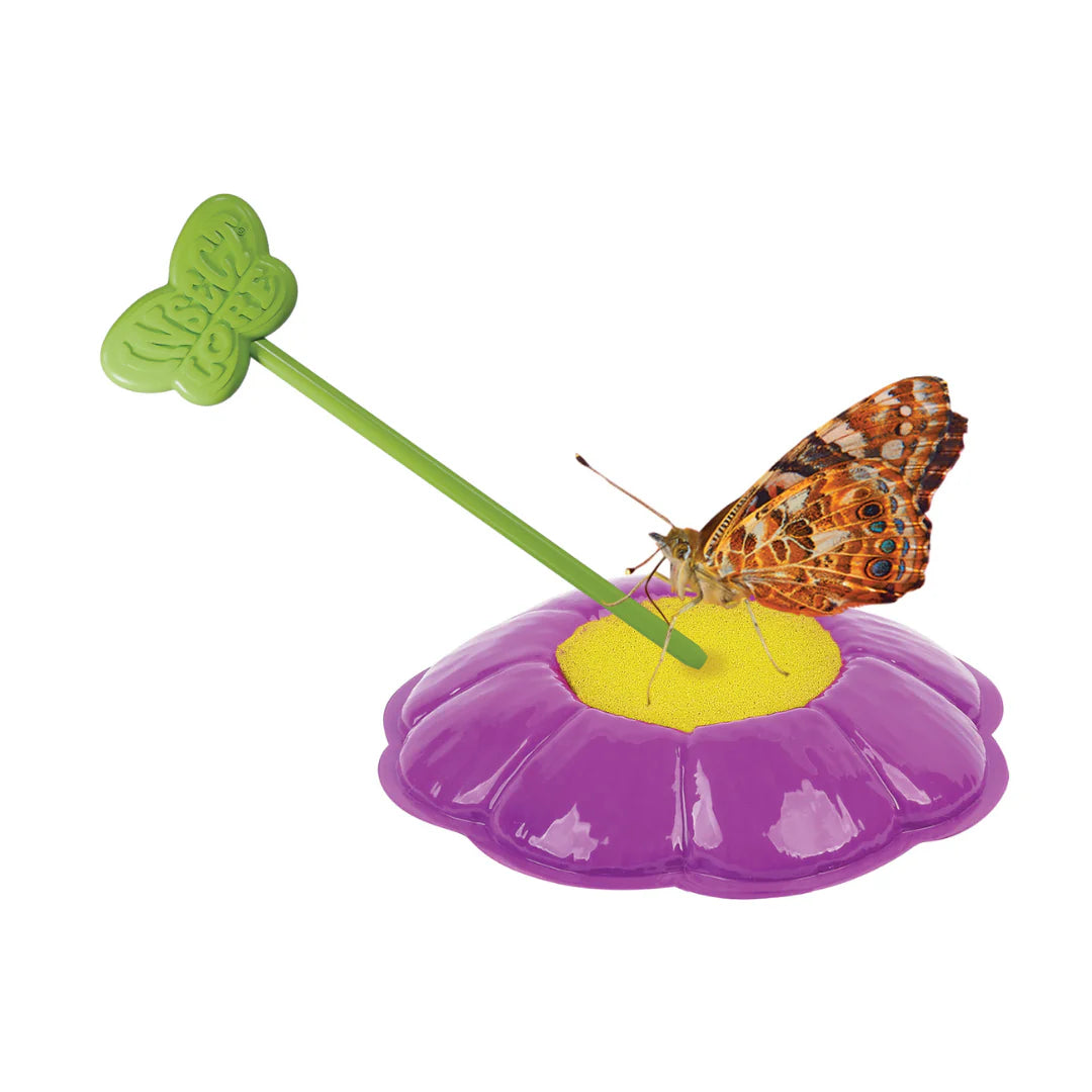Butterfly Garden All Inclusive