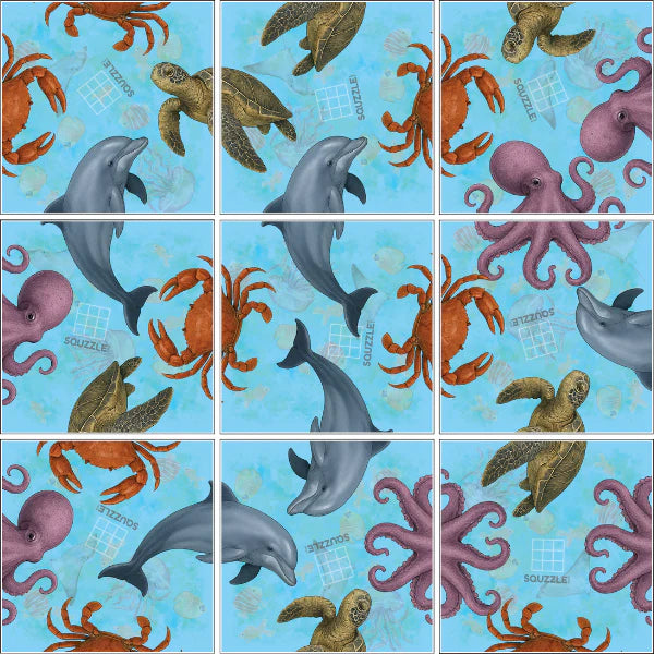 Ocean Life Squzzle