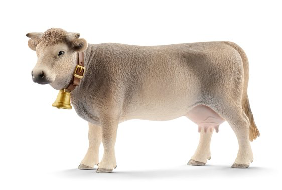 Braunvieh cow