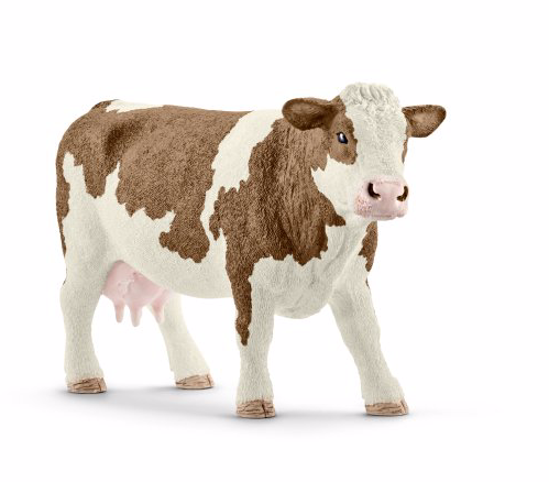 Simmental cow