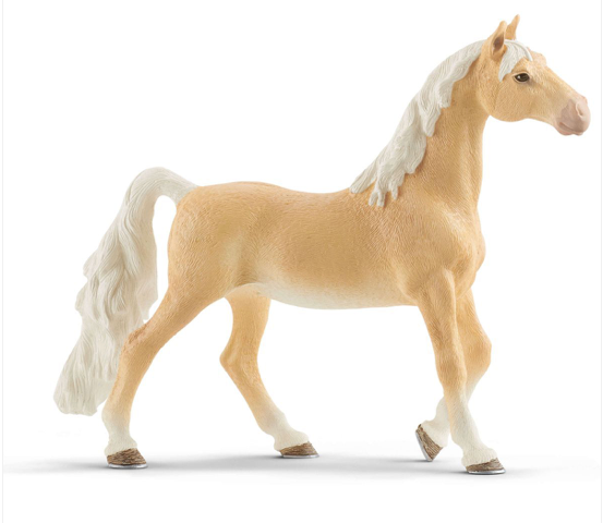 American Saddlebred Mare