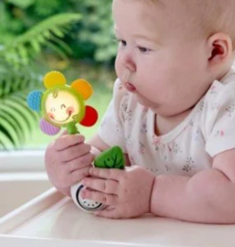 Shake N Sparkle Flower Rattle