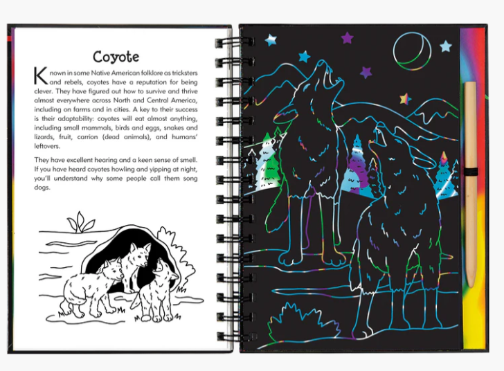 Scratch & Sketch Nocturnal Animals