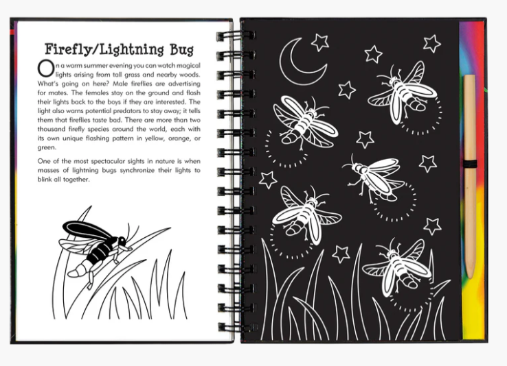 Scratch & Sketch Nocturnal Animals
