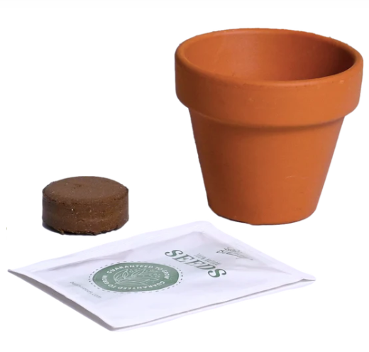 Sunflower Ceramic Grow Kit