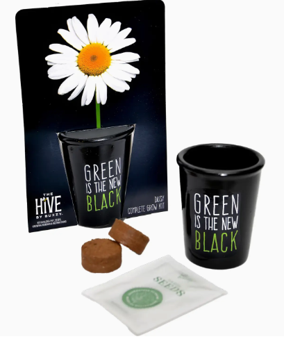 Daisy Green Is The New Black Kit