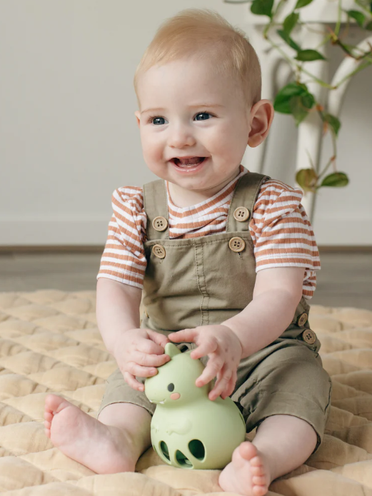 Dino Rattle