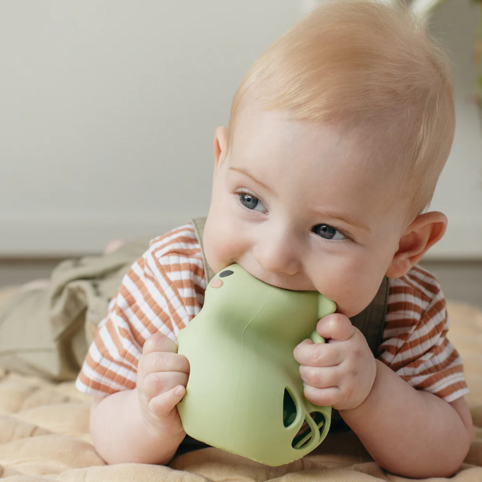 Dino Rattle