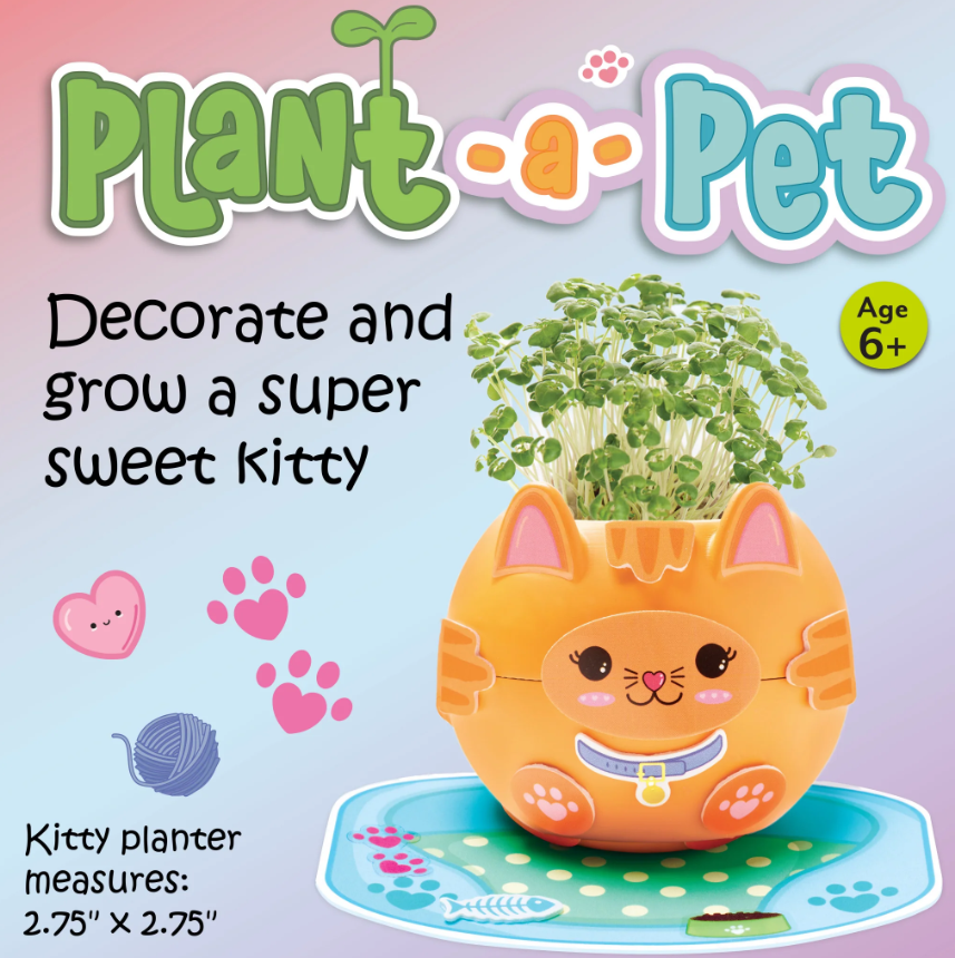 Kitty Plant A Pet