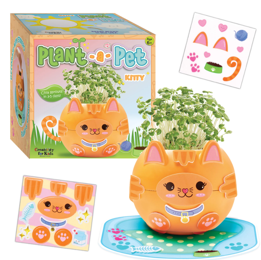Kitty Plant A Pet