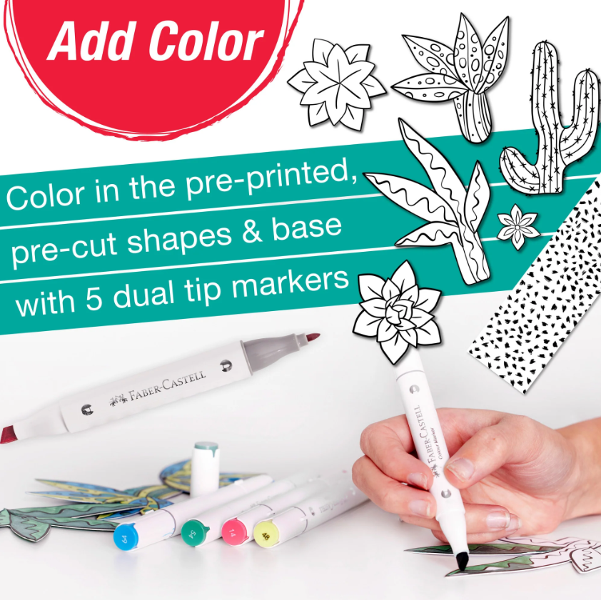 Succulent Pop Up Coloring
