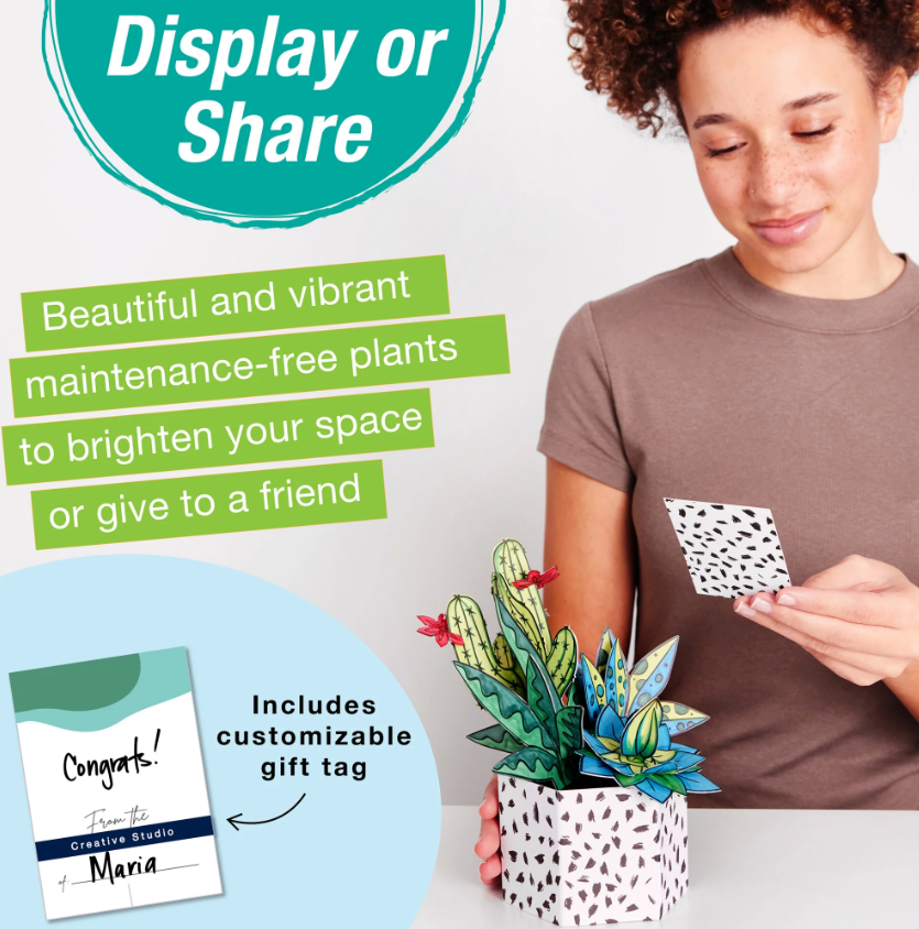 Succulent Pop Up Coloring