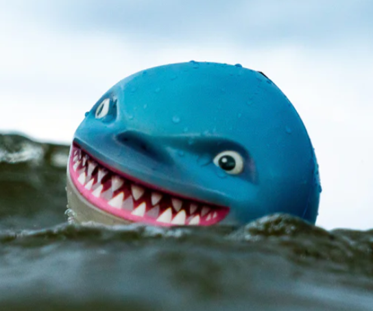 Sharky Shark