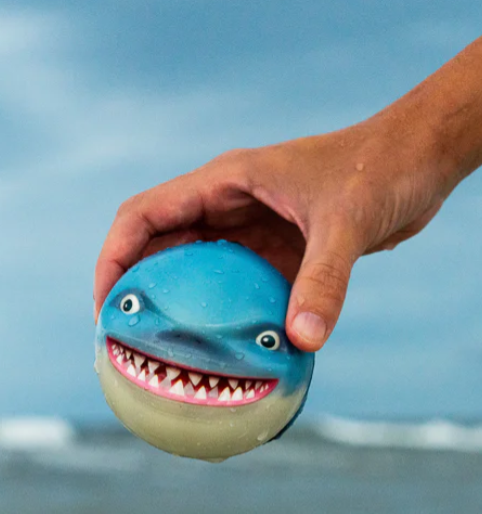 Sharky Shark