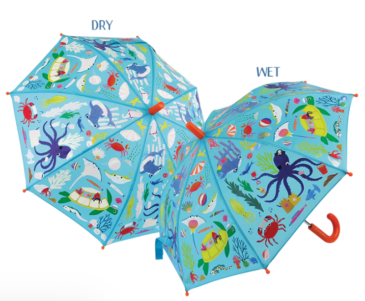 Color Change Ocean Umbrella
