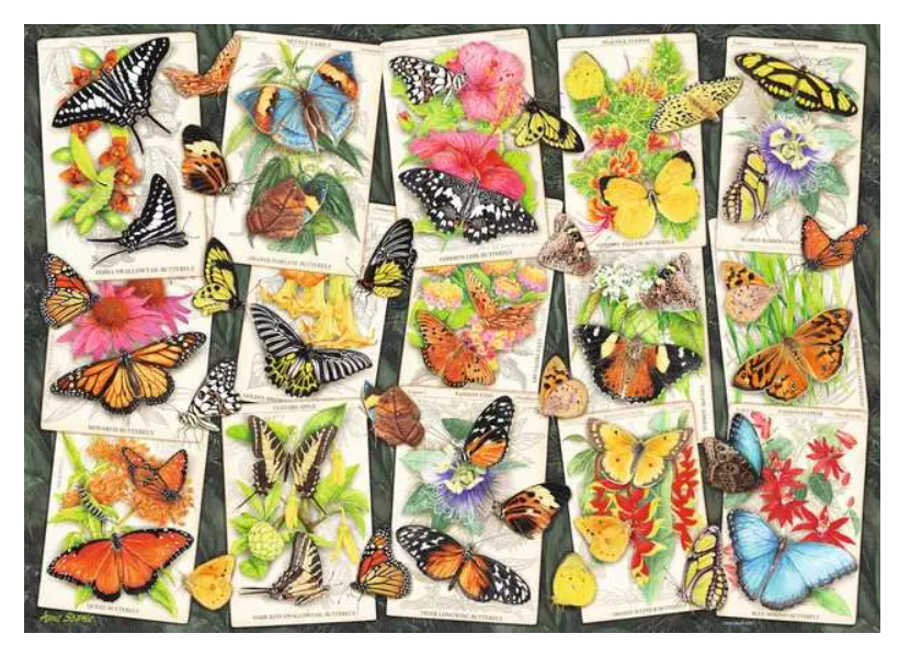 1000 pc Tropical Butterflies Puzzle