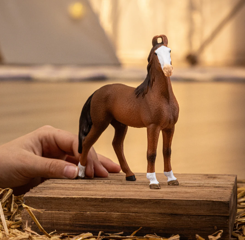 Marwari Mare