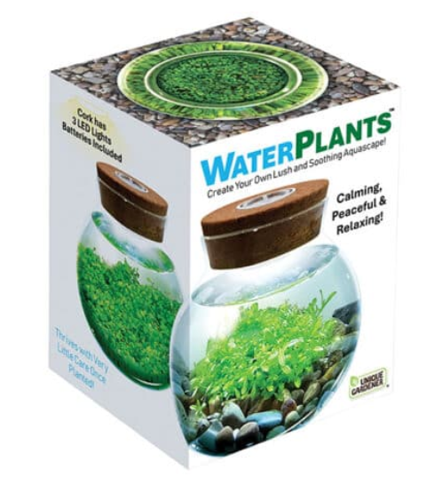 Water Plants