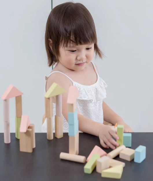 Pastel Blocks 40 Pc