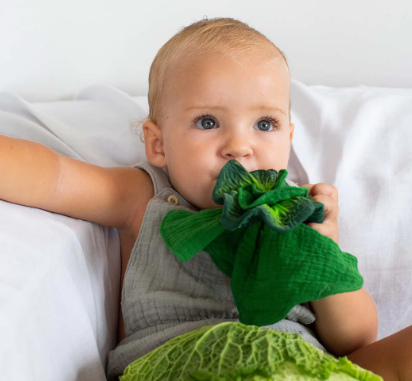 Kendall The Kale Mini Doudou Teether
